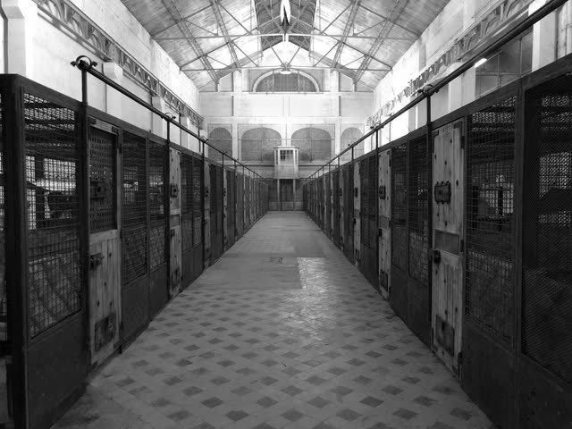 'The French Dispatch' - Prison Sets - image 1